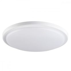 ORTE Mennyezeti LED lámpa 24W 4000K 29161 (Kanlux)